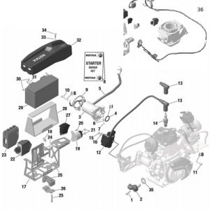 Rotax Evo Ignition