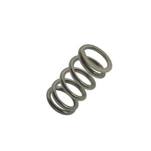 31 - Delloroto Air Screw Spring