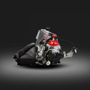 Rotax Junior Max EVO Engine